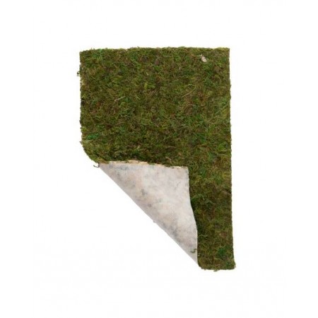 Hobby - Terrano Moos - 20x30 cm - 2 pcs
