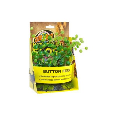 Button Fern - Plante de sol artificielle