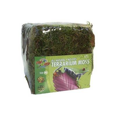 Mousse tropicale pour terrarium