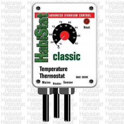 Thermostat Habistat Temperature