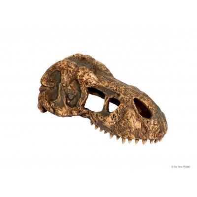 Crâne de T-Rex "Exoterra T-REX Skull"