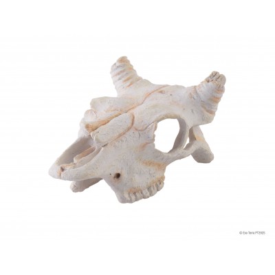 Crâne de vache "Exoterra Buffalo Skull"