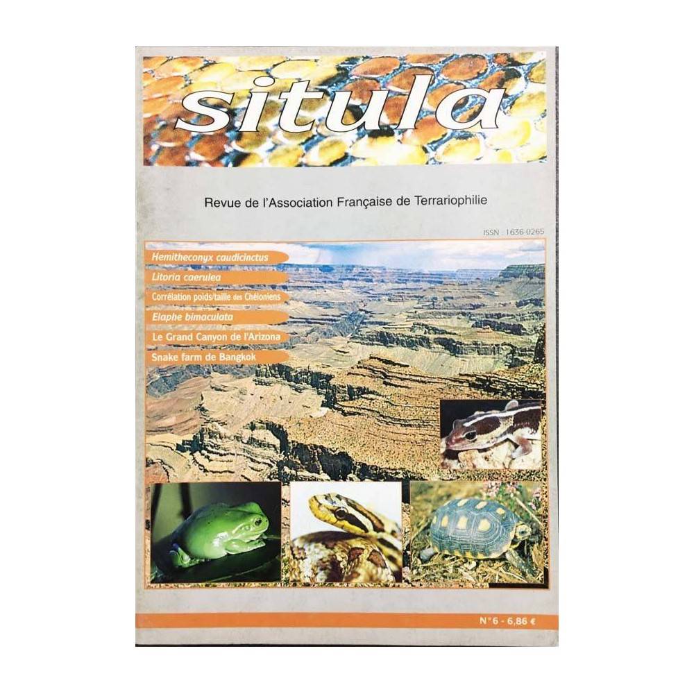 Situla n°6 - Chéloniens, Elaphe bimaculata, Litoria caerula,... Situla n°6 - Chéloniens, Elaphe bimaculata, Litoria caerula,...