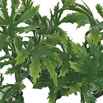 Plante plastique "Papaya Leaf" Komodo