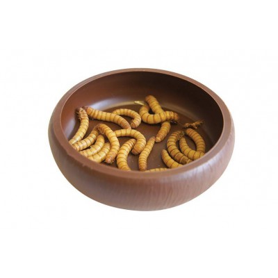 Gamelle pour vers de farine "Mealworm Dish" Komodo