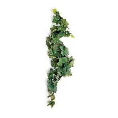 Pante artificielle en tissu "Comores Silk Vine" Komodo