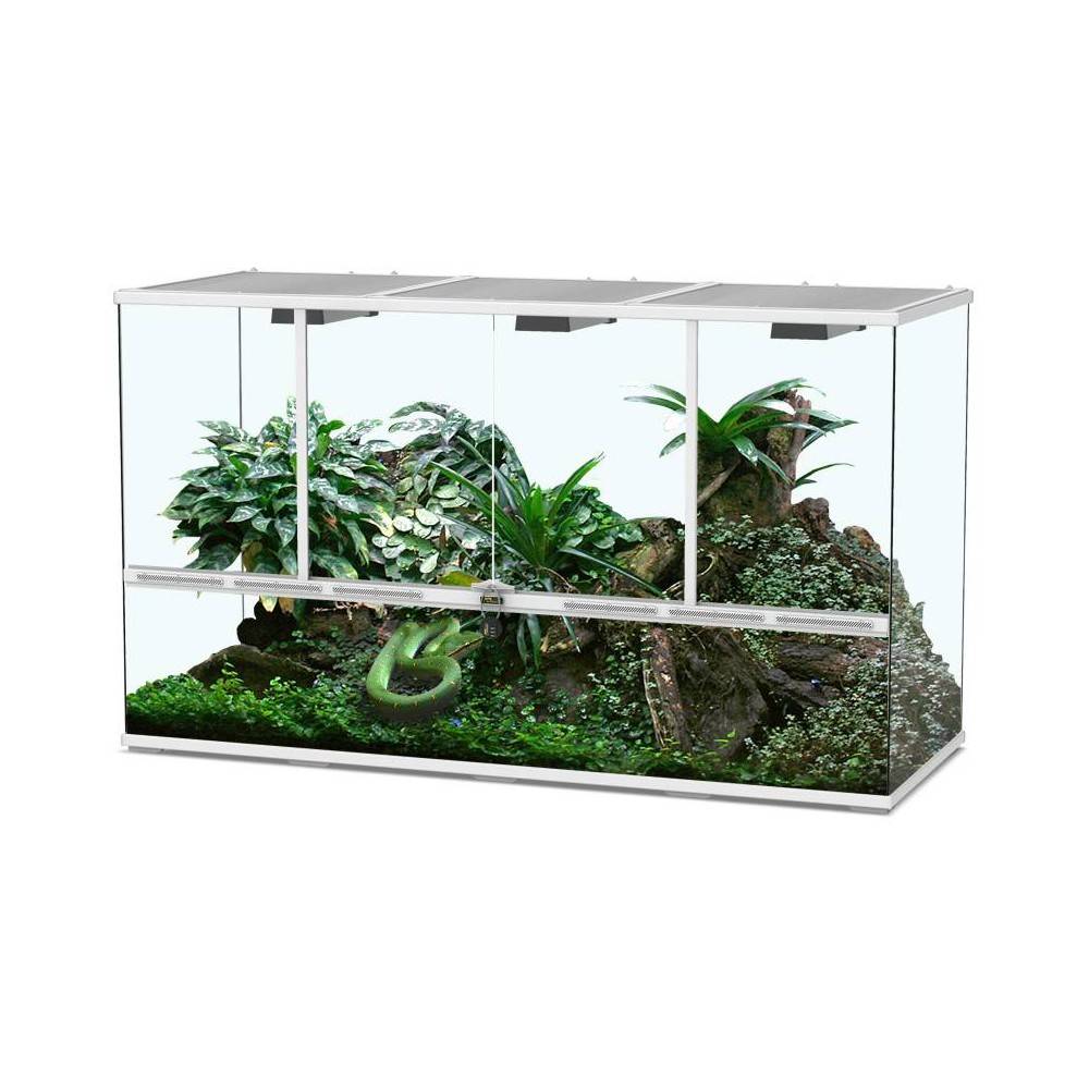 Terrarium 132 Terratlantis