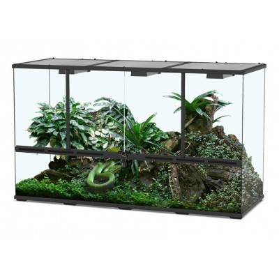 Terrarium 132 Terratlantis