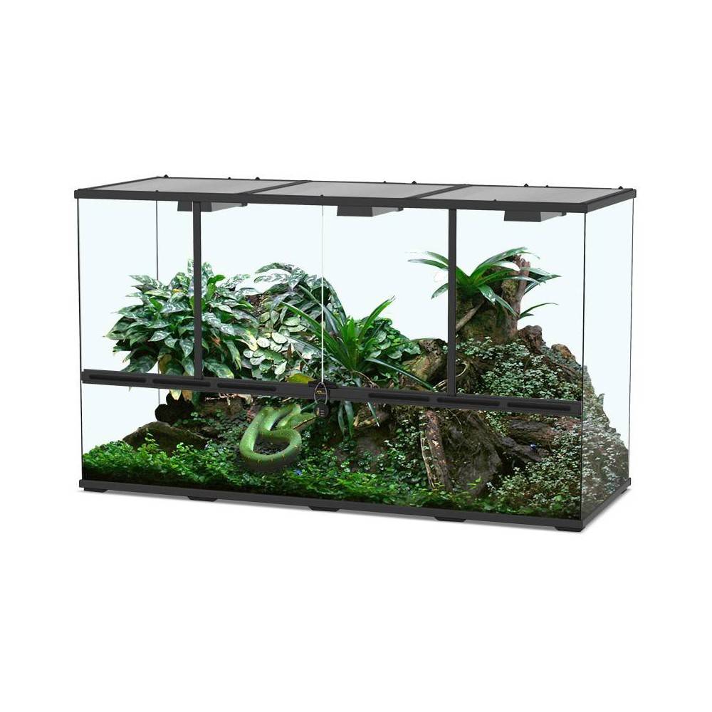 Terrarium 132 Terratlantis Terrarium 132 Terratlantis
