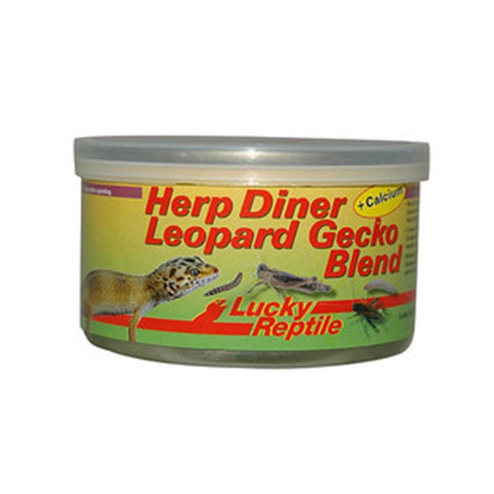 Insectes en boite "Herp diner Leopard gecko Blend"