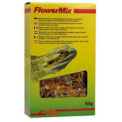 ARAMOX Bassin d'alimentation des reptiles NW‑29 Bassin d