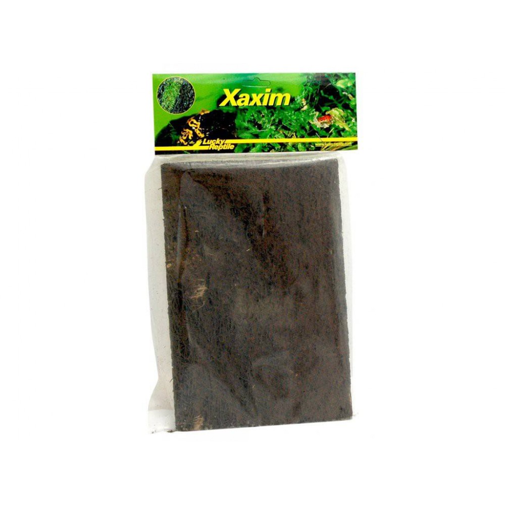 Plaque de Xaxim (fougères arborescentes) - Lucky Reptile Plaque de Xaxim (fougères arborescentes) - Lucky Reptile