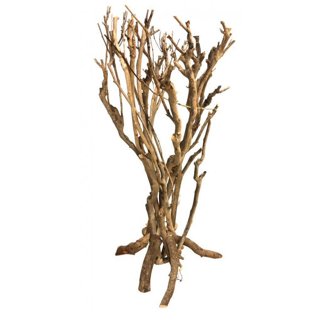 Arbuste de savanne 40cm - Lucky Reptile Arbuste de savanne 40cm - Lucky Reptile