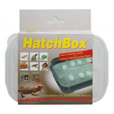 Boite d'incubation "HatchBox" - Lucky Reptile