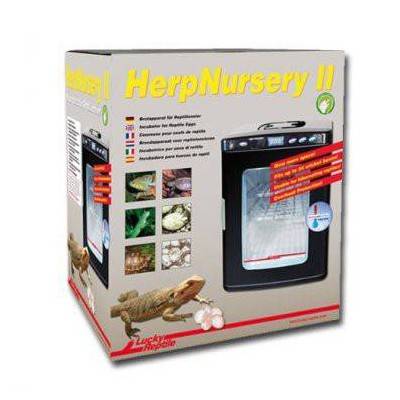 Incubateur "Herp Nursery II" - Lucky Reptile