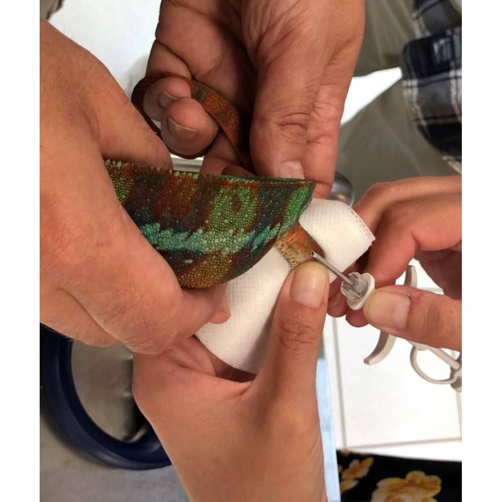 Frais de marquage + Identification fichier i-Fap Frais de marquage + Identification fichier i-Fap