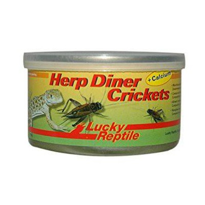 Grillons en boîte de conserve "HerpDiner Crickets" LUCKY REPTILE