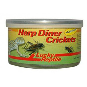 Grillons en boîte de conserve "HerpDiner Crickets" LUCKY REPTILE