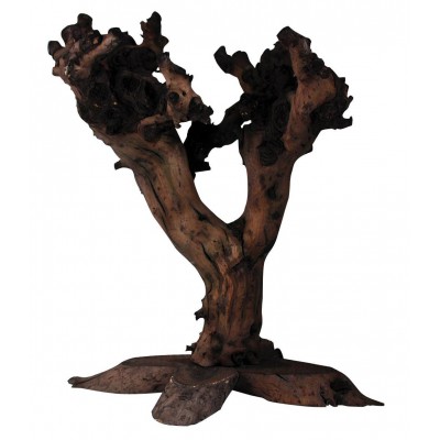 Arbre en bois de vigne 50cm env Lucky Reptile