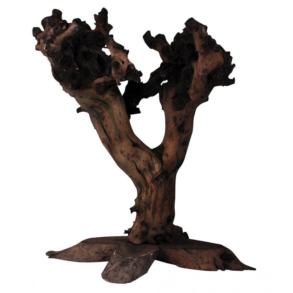 Arbre en bois de vigne 50cm env Lucky Reptile Arbre en bois de vigne 50cm env Lucky Reptile