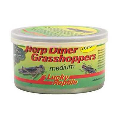 Nourriture pour insectivore Herp Diner Grasshoppers - Lucky Reptile