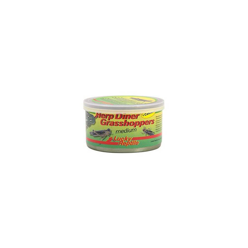 Nourriture pour insectivore Herp Diner Grasshoppers - Lucky Reptile