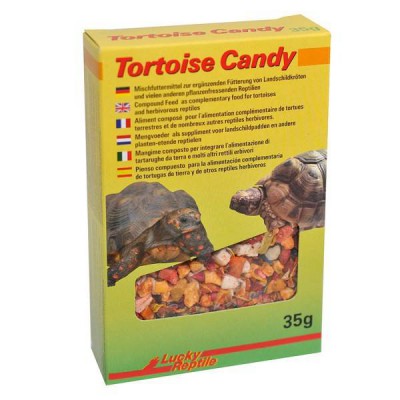 Friandise composée pour tortue de terre - "Tortoise Candy" Lucky Reptile