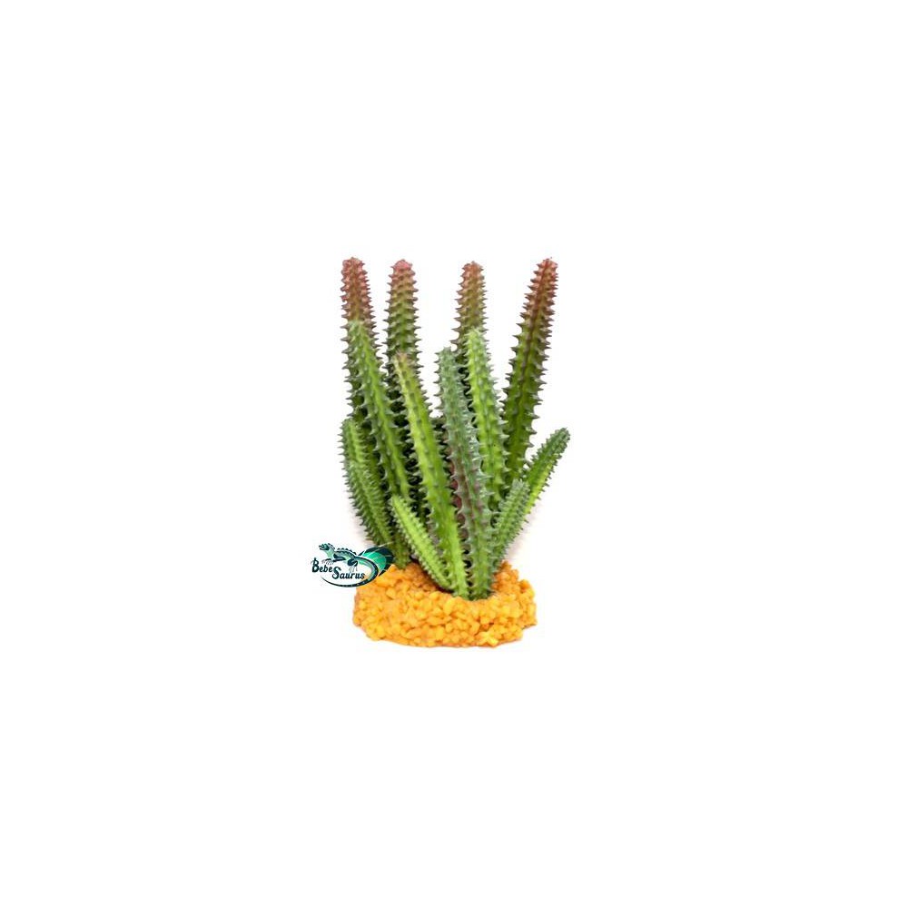 Cactus buisson Terratlantis Cactus buisson Terratlantis