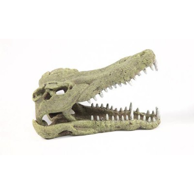 Tête de Crocodile XXL 48,5cm Terratlantis