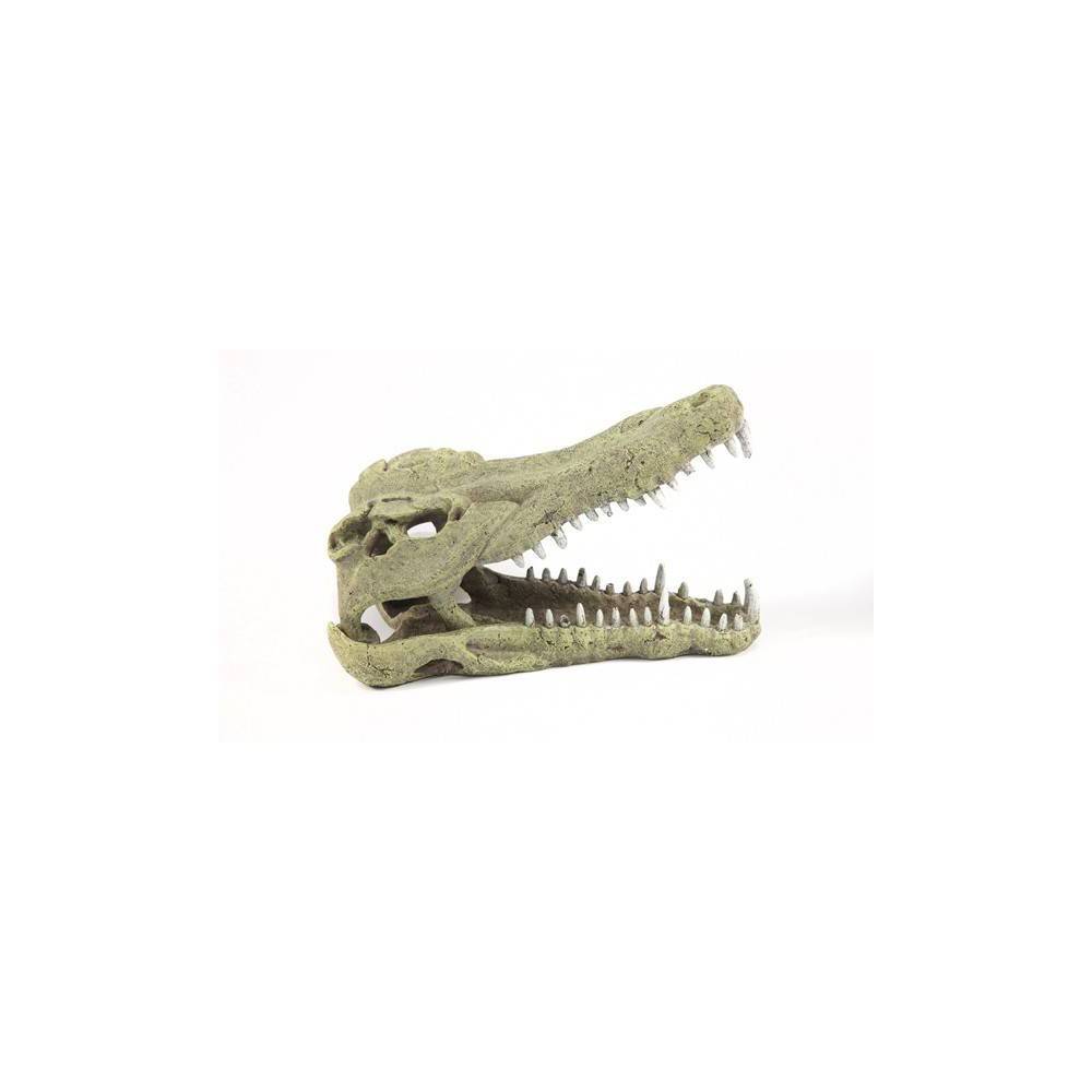 Tête de Crocodile XXL 48,5cm Terratlantis