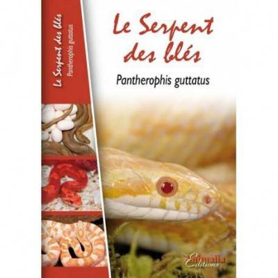 Le serpent des blés-Pantherophis guttatus