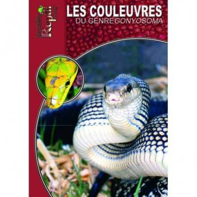 Les couleuvres du genre Gonyosoma- Les guides Reptilmag