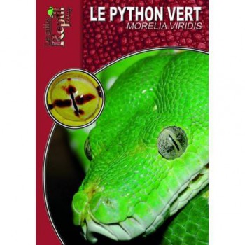 Le python vert- Morelia viridis- Les guides Reptilmag