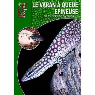 Le varan à queue épineuse- Varanus acanthurus- Les guides Reptilmag