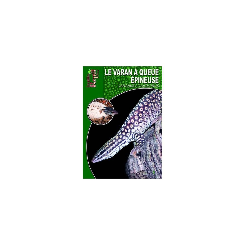 Le varan à queue épineuse- Varanus acanthurus- Les guides Reptilmag