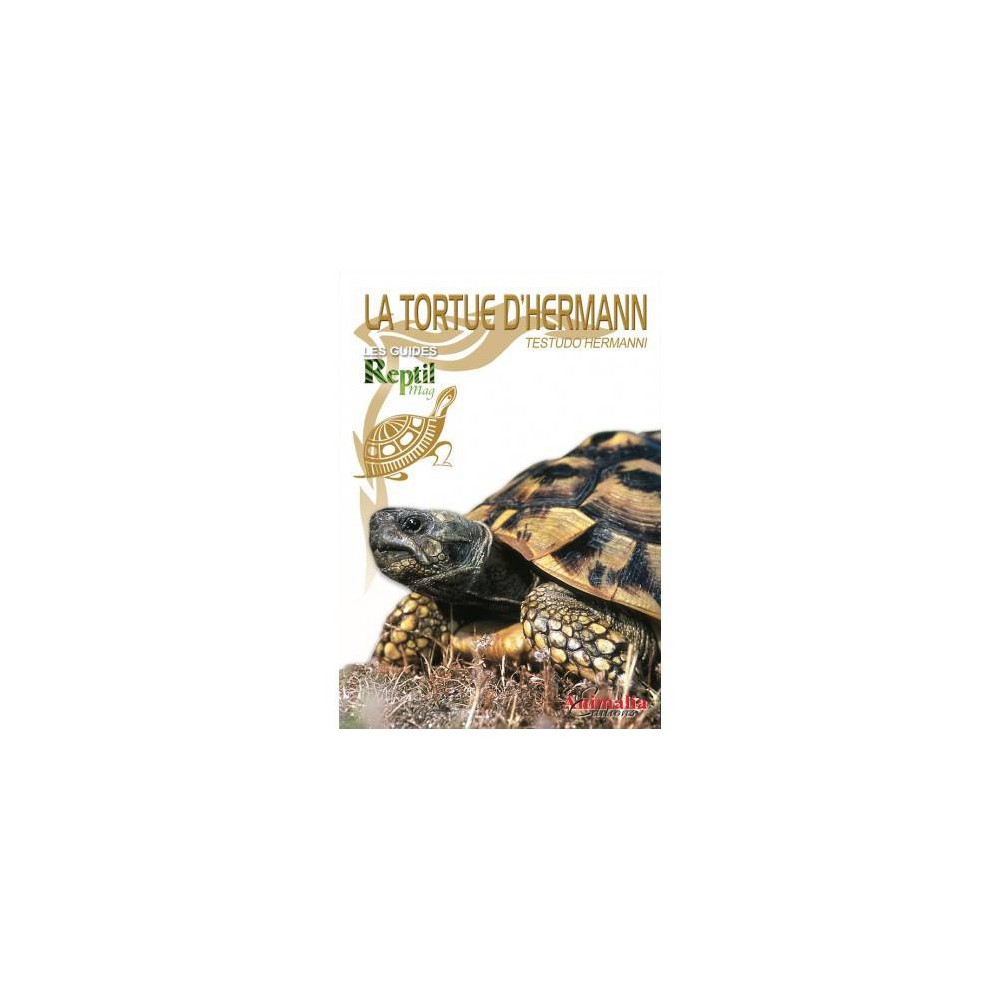La tortue d'Hermann- Testudo hermanni- Les guides Reptilmag