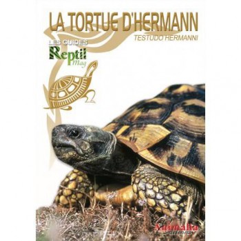 La tortue d'Hermann- Testudo hermanni- Les guides Reptilmag