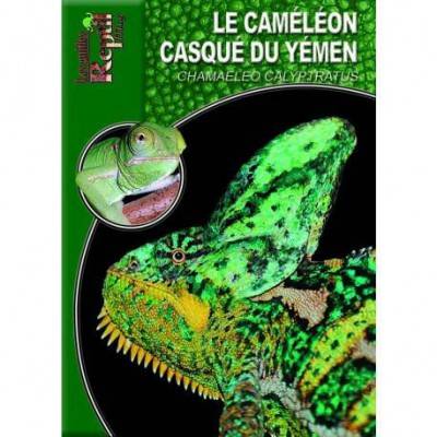 le caméléon casqué du Yemen- Chamaeleo calyptratus- Les guides Reptilmag