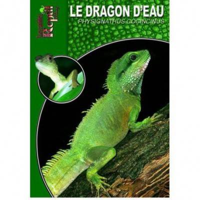 Le dragon d'eau- Physignathus cocincinus