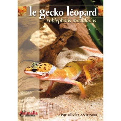 Le gecko léopard