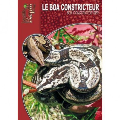 Le Boa constricteur- Boa constrictor ssp- Les guides Reptilmag
