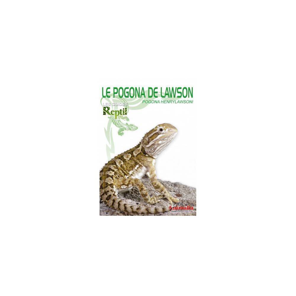 Le Pogona de Lawson- Pogona henrylawsoni