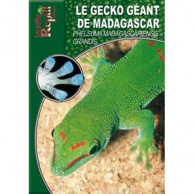 Le gecko géant de Madagascar- Phesuma madagascariensis grandis- Les guides Reptilmag