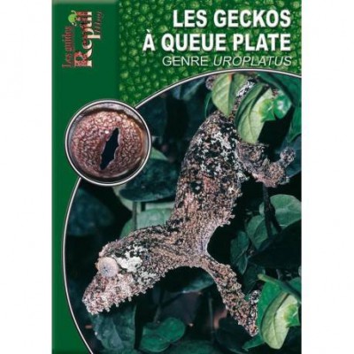 Les geckos à queue plate du genre Uroplatus- Les guides Reptilmag
