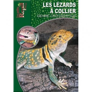 Les lézards à colier du genre Crotaphytus