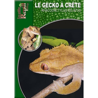 Le gecko à crête- Rhacodactylus ciliatus- les guides Reptilmag