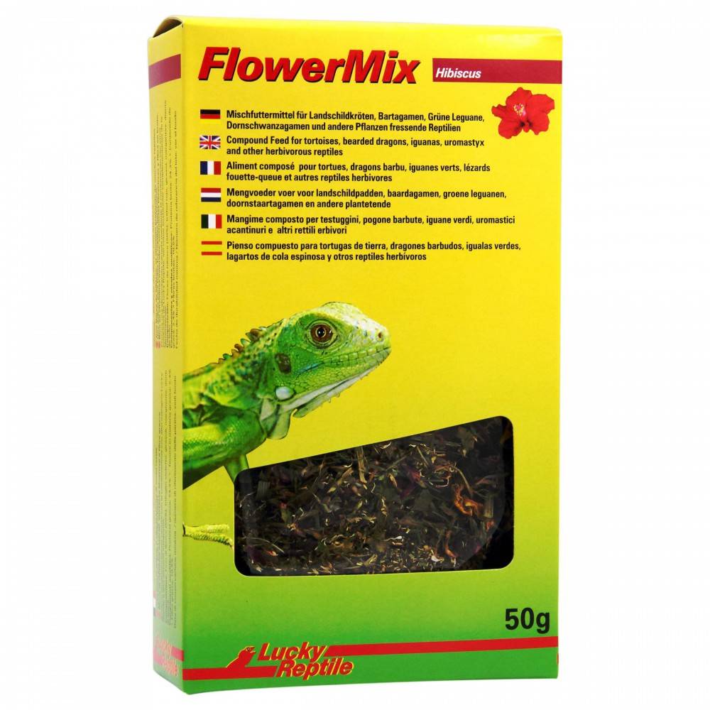 Mélange de fleurs d'hibiscus "Flower Mix Hibiscus" Lucky reptile