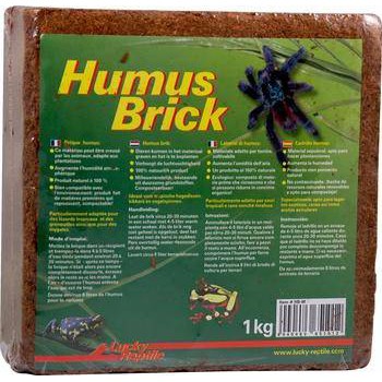 Humus de coco 1Kg Lucky reptile