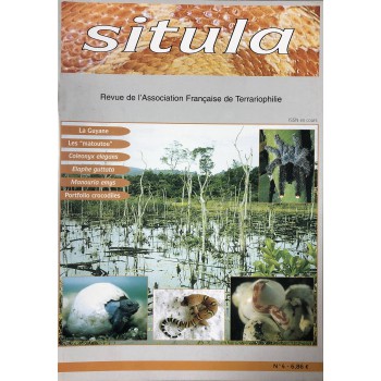 Situla n°4 - La Guyane, Coleonyx elegans, Pantherophis guttatus, ...