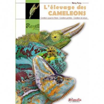 L'élevage des camélons -Caméléon casqué- Caméléon panthère- Caméléon de jackson